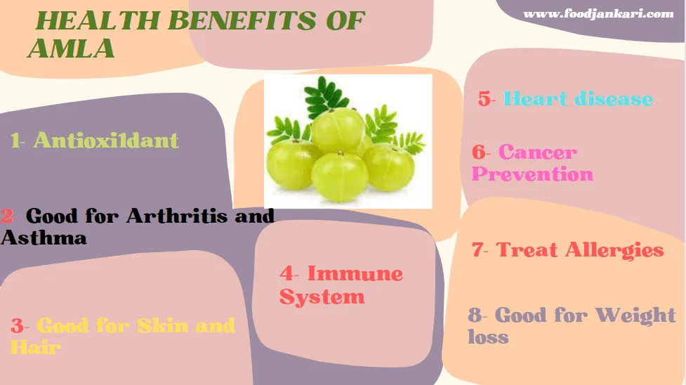 Amazing health benefits that you can get from consuming Amla