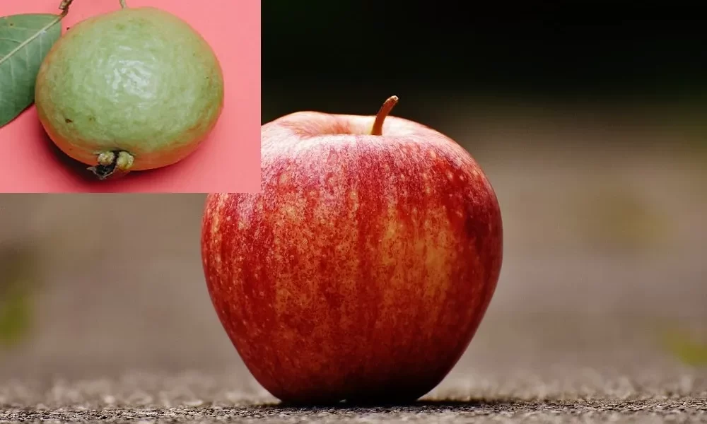 Apple Or Guava Which Is Better?