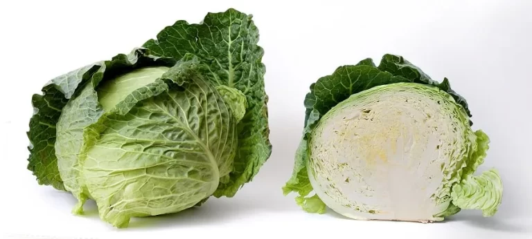 . Cabbage: