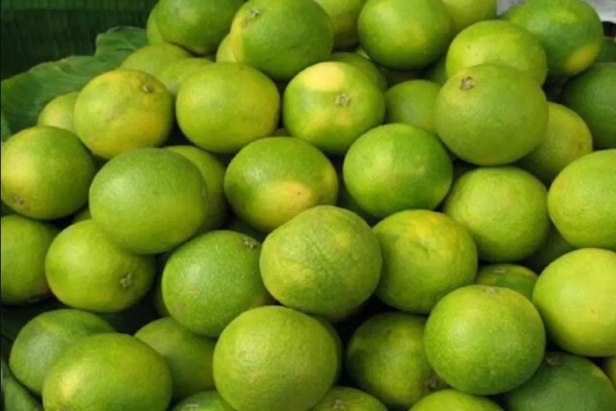 Mosambi (Sweet Lime)- Health Benefits, Nutritional Facts, Calories and Best time to drink Mosambi juice