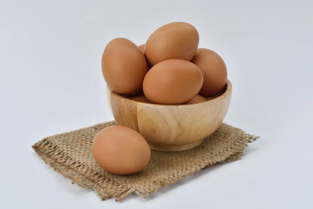 The Egg is Veg or Non-Veg
