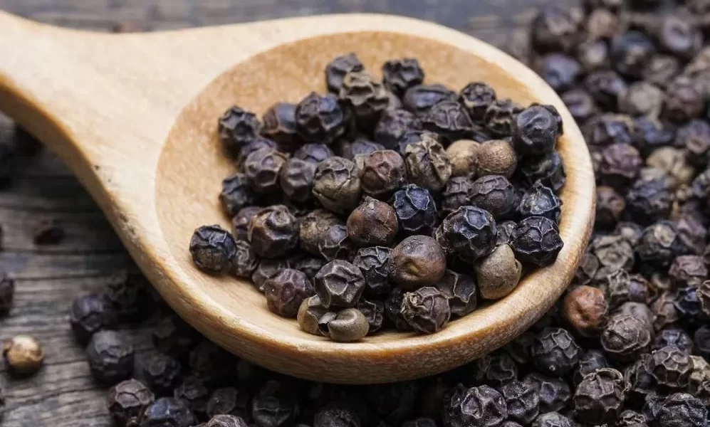 Black Pepper Nutrition in Hindi- जानिये काली मिर्च में पाए जाने वाले पोषक तत्वों के बारे में