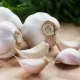 Garlic Cloves Nutrition in Hindi- लहसुन में पाए जाने वाले पोषक तत्त्व