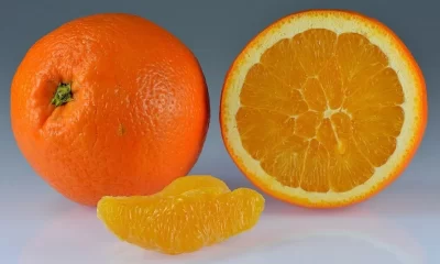 Can We Eat Oranges During Periods?