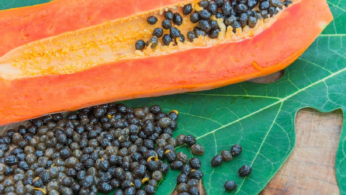 Can You Eat Papaya Seeds Raw