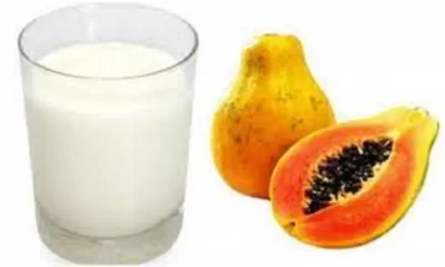 Can we eat papaya and milk together?