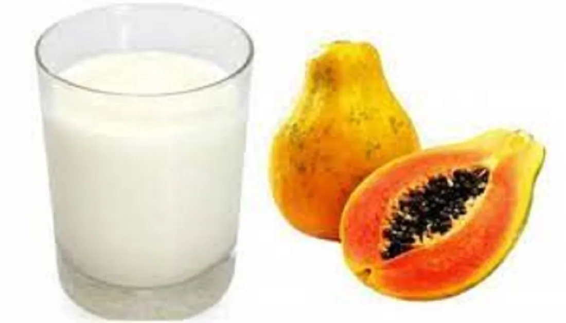 Can we eat papaya and milk together?