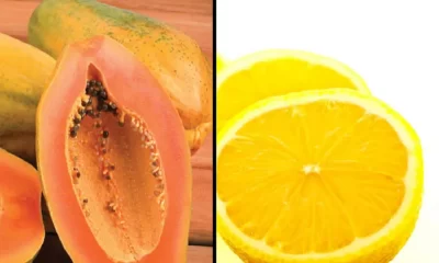 Can we eat papaya and orange together?
