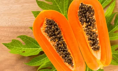 Can we eat papaya in dengue?