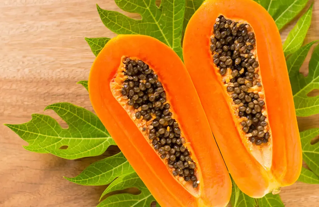 Can we eat papaya in dengue?