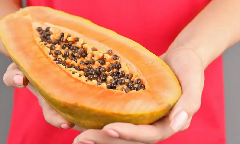 Can we eat papaya while trying to conceive?