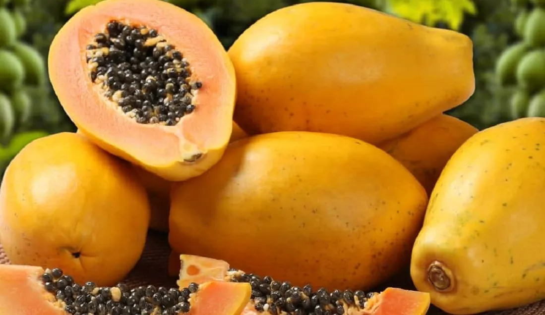 How much papaya can a diabetic eat?