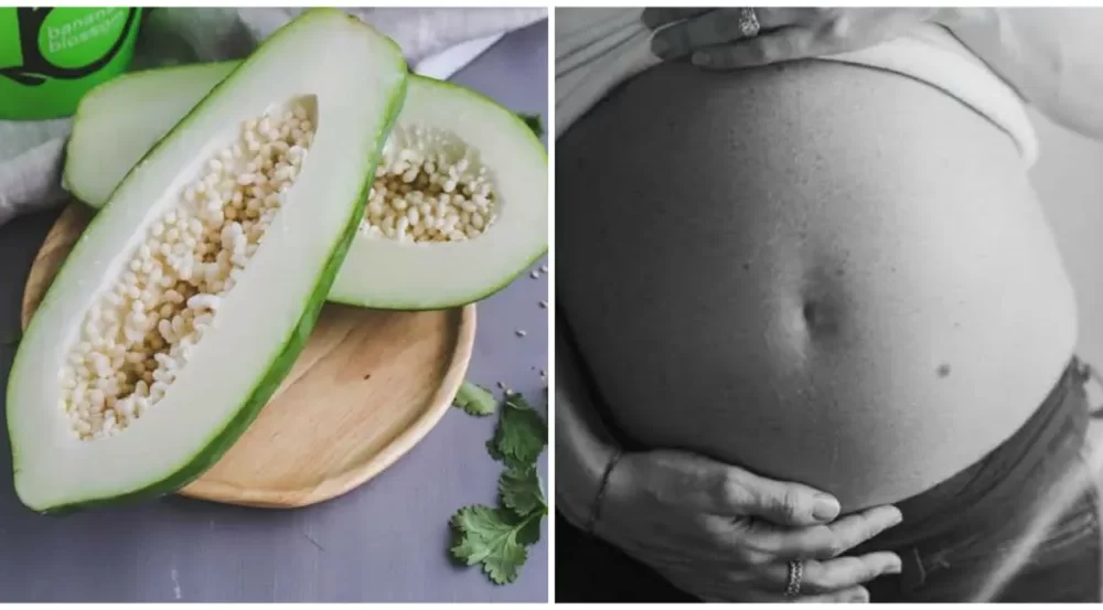 How much papaya should i eat to stop pregnancy?