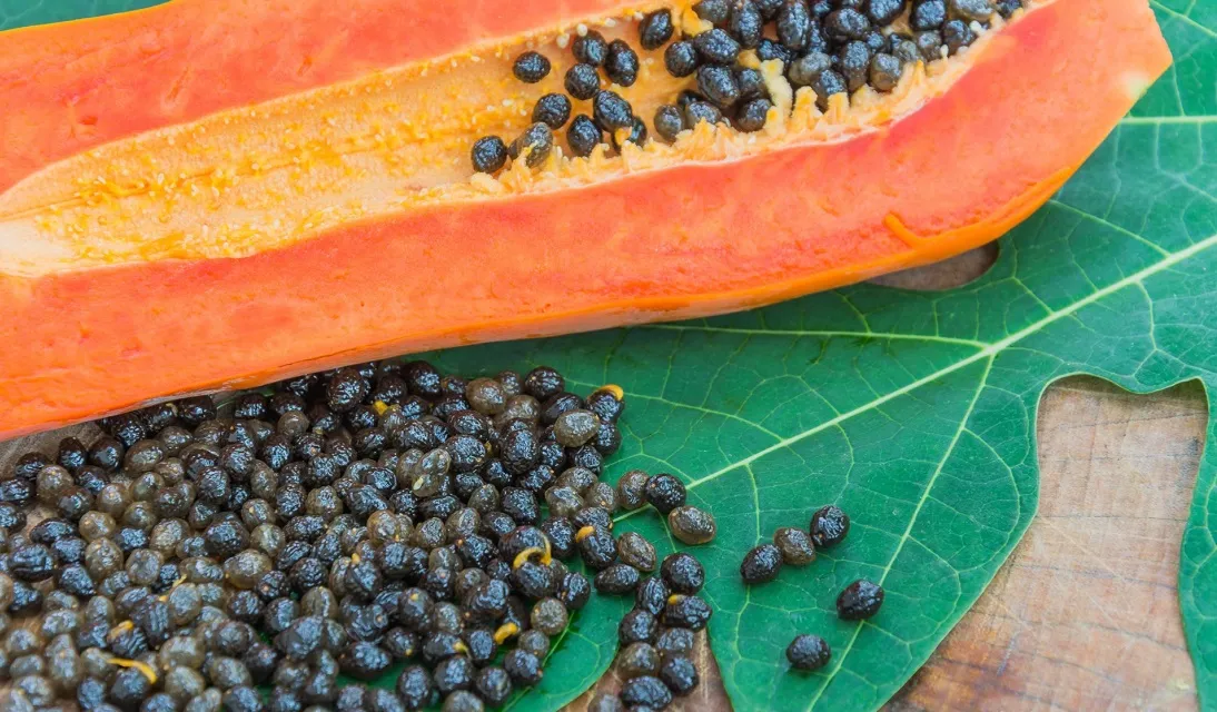 How often should you eat papaya seeds?