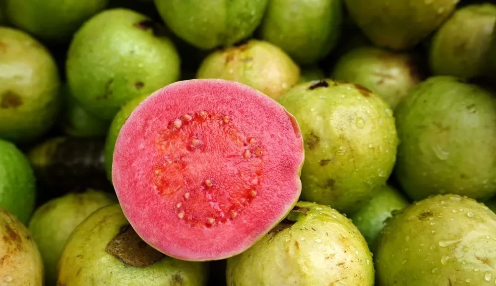 Calories in Guava: A Low-Calorie Fruit Option
