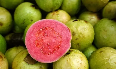 Calories in Guava: A Low-Calorie Fruit Option