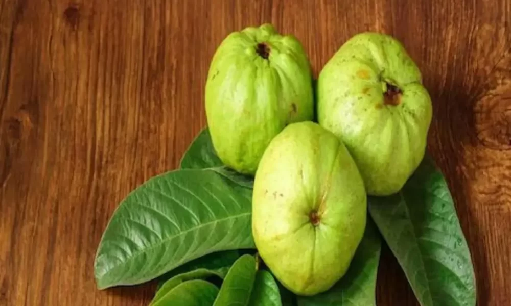 Can We Eat Guava Empty Stomach?