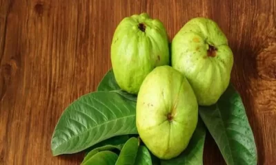 Can We Eat Guava Empty Stomach?