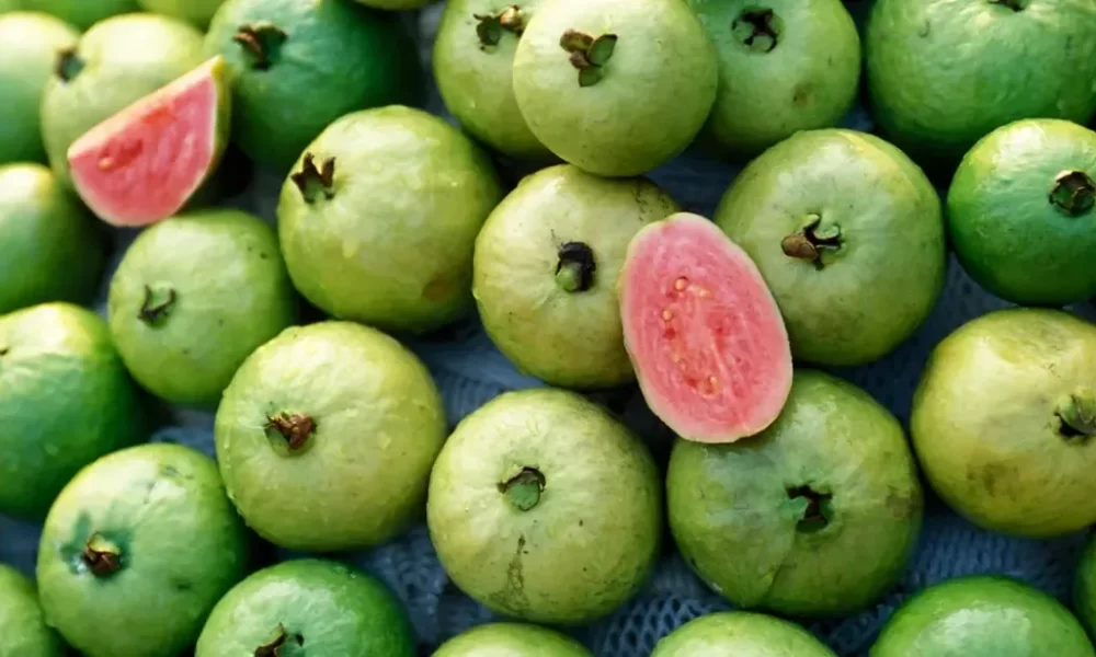 How to Eat Guava Seeds