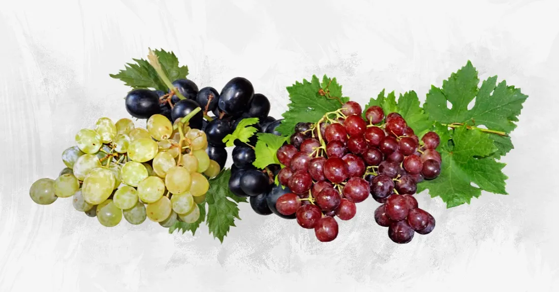 Is Eating Grapes at Night Good or Bad? Know the Benefits, Drawback and Grape Snacks