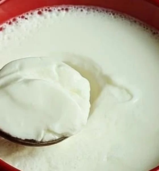 Is Eating Curd at Night Good or Bad? Know the Benefits, Drawback