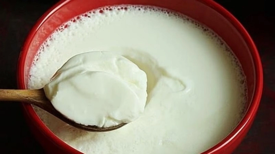 Is Eating Curd at Night Good or Bad? Know the Benefits, Drawback