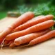 10 AMAZING HEALTH BENEFITS OF CARROT