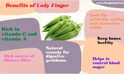 LADY FINGER: 10 BENEFITS OF LADY FINGER, Benefits Of Okra , Bhindi Ke Fayde – Good for health