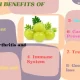 Amazing health benefits that you can get from consuming Amla