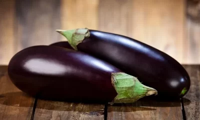 Eggplant