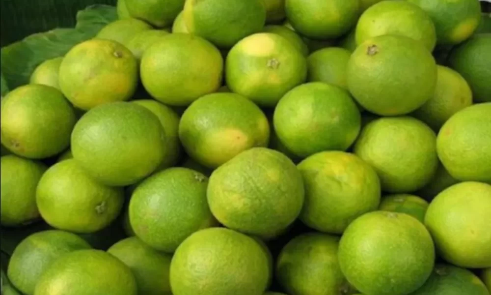 Mosambi (Sweet Lime)- Health Benefits, Nutritional Facts, Calories and Best time to drink Mosambi juice