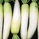 White Radish Benefits For the Liver ?