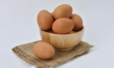 The Egg is Veg or Non-Veg