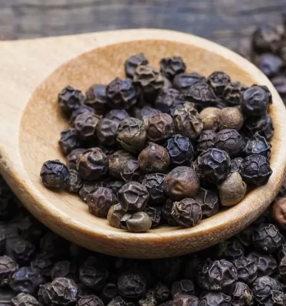 Black Pepper Nutrition in Hindi- जानिये काली मिर्च में पाए जाने वाले पोषक तत्वों के बारे में