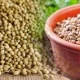 Coriander Seeds Nutrition in Hindi- धनिया में पाए जाने वाले पोषक तत्त्व