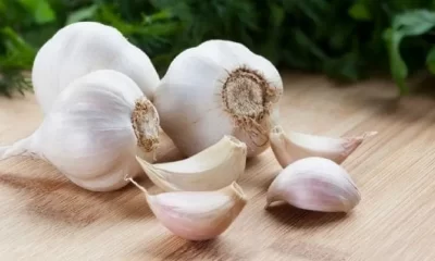 Garlic Cloves Nutrition in Hindi- लहसुन में पाए जाने वाले पोषक तत्त्व