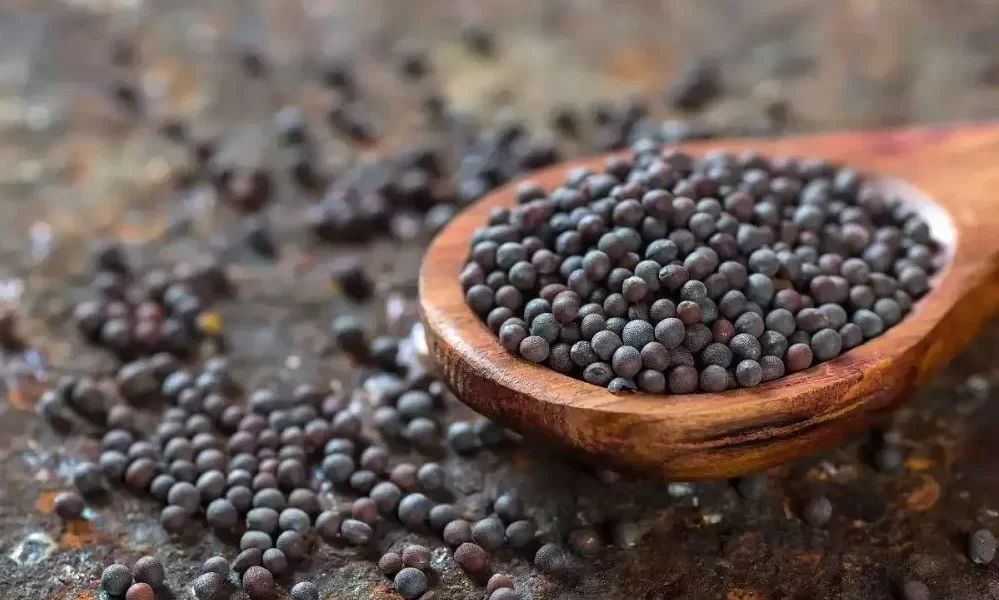 Mustard Seeds Nutrition in Hindi- सरसों के बीज में पोषक तत्वों की मात्रा