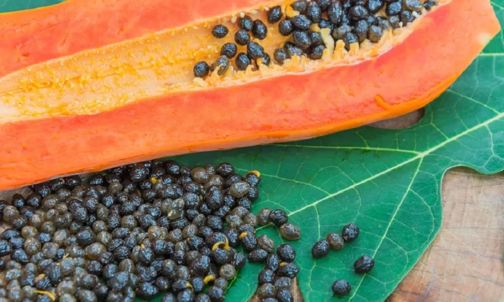 Can You Eat Papaya Seeds Raw