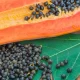 Can You Eat Papaya Seeds Raw