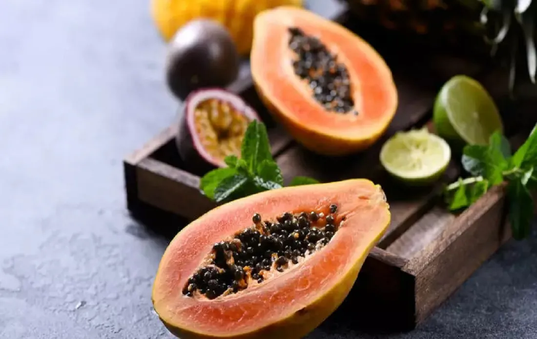 Can we eat papaya after eating egg?