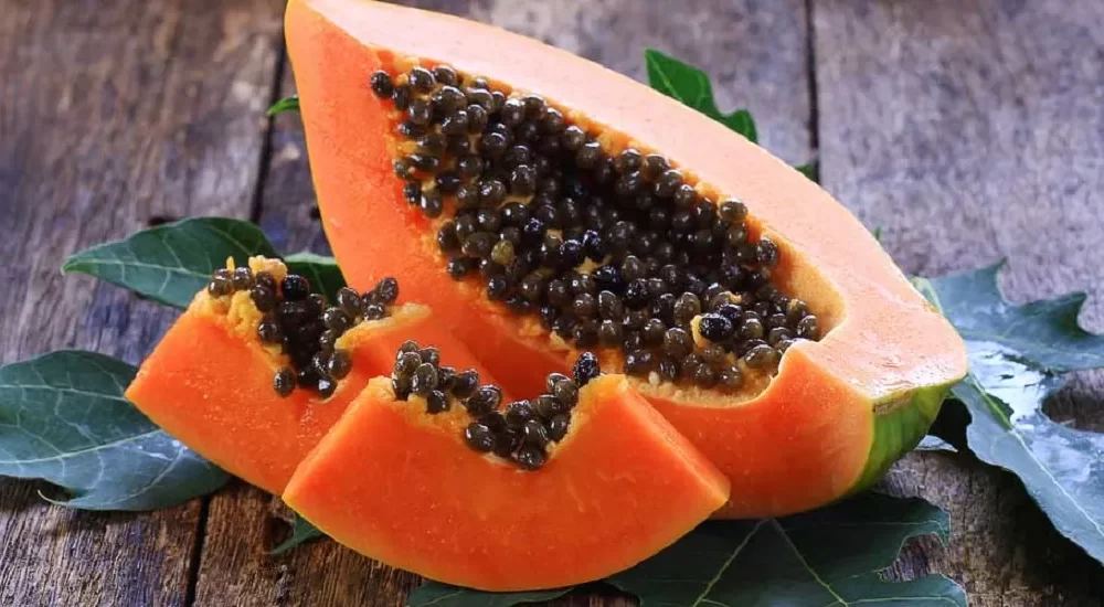 How many days we should eat papaya to avoid pregnancy?