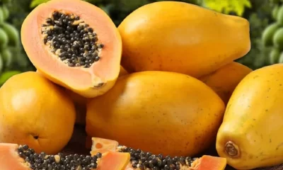 How much papaya can a diabetic eat?