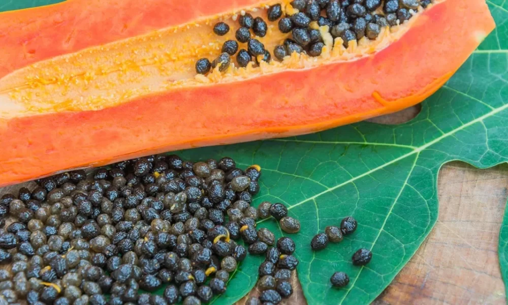 How often should you eat papaya seeds?