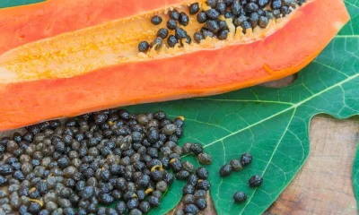 How often should you eat papaya seeds?