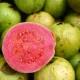 Calories in Guava: A Low-Calorie Fruit Option