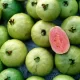 Can We Eat Guava During Pregnancy: Benefits, Risks, and Precautions