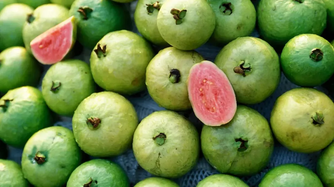 Can We Eat Guava During Pregnancy: Benefits, Risks, and Precautions