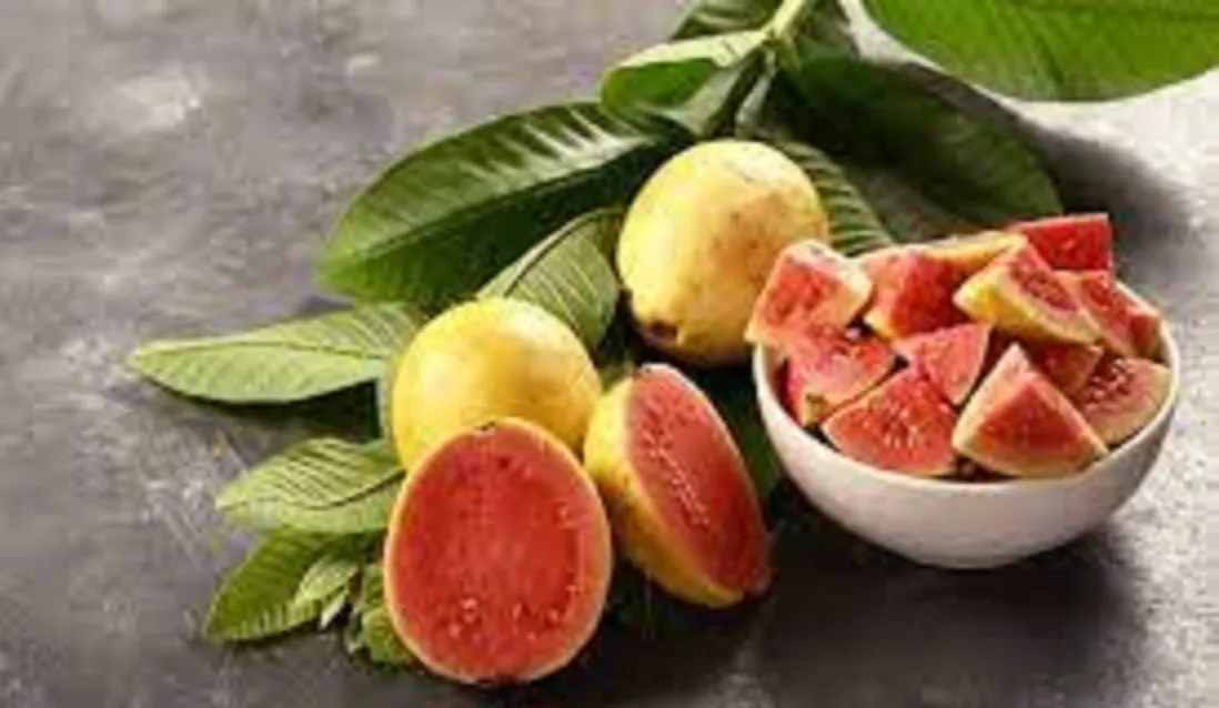 Is Guava Good For Diabetes: Benefits, Risks, and Precautions