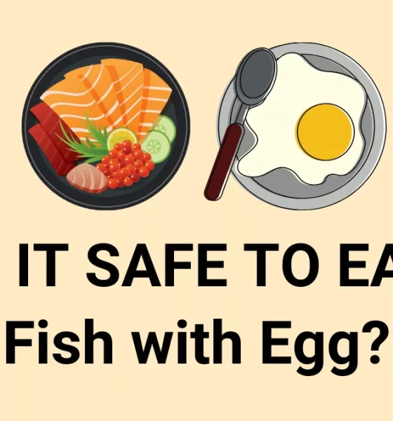 Can We Eat Egg And Fish Together