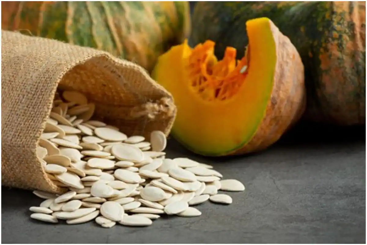 Pumpkin Seeds Benefits for Female